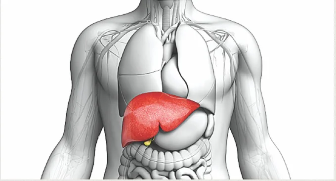 Karaciğer Hastalıkları